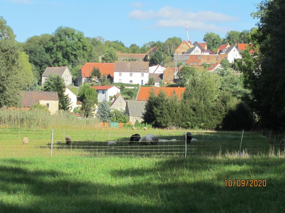 Ferienwohnung Bienwald Mit Pool Fuer 4 - 6 Personen Mit 3 Schlafzimmern