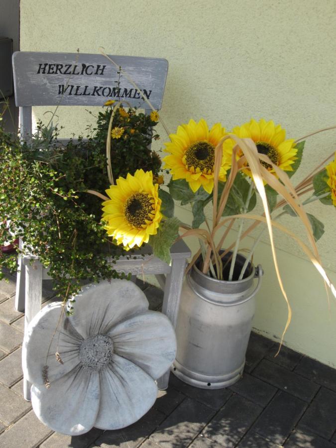 Apartment Ferienwohnung Bienwald Mit Pool Fuer 4 - 6 Personen Mit 3 Schlafzimmern